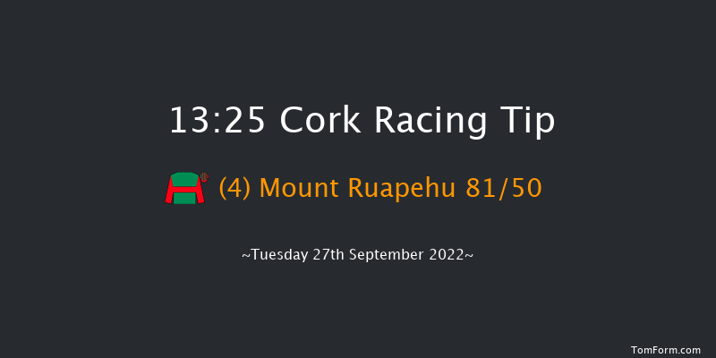 Cork 13:25 Maiden 5f Wed 7th Sep 2022