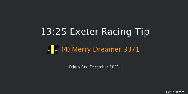 Exeter 13:25 Handicap Hurdle (Class 4) 22f Sun 20th Nov 2022
