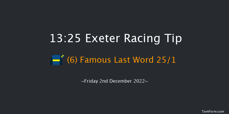 Exeter 13:25 Handicap Hurdle (Class 4) 22f Sun 20th Nov 2022