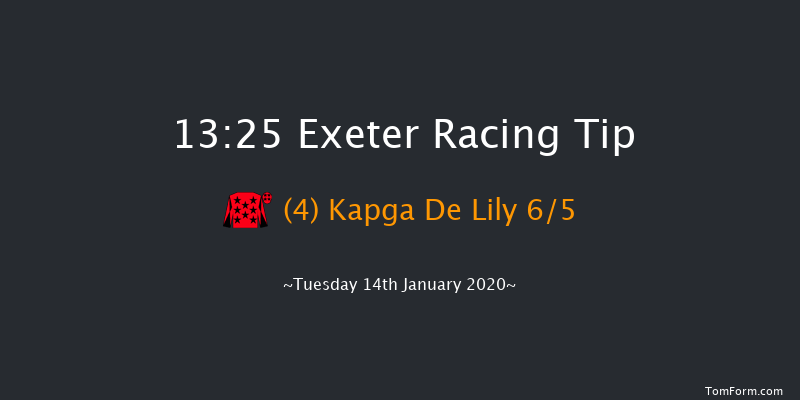 Exeter 13:25 Handicap Hurdle (Class 4) 17f Wed 1st Jan 2020