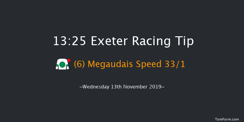Exeter 13:25 Maiden Hurdle (Class 4) 22f Tue 5th Nov 2019