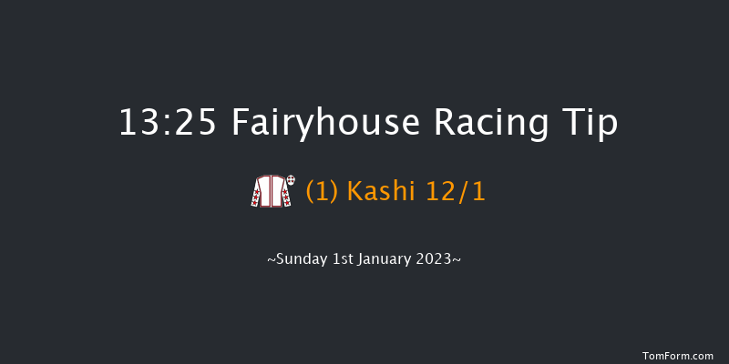 Fairyhouse 13:25 Handicap Hurdle 16f Wed 21st Dec 2022