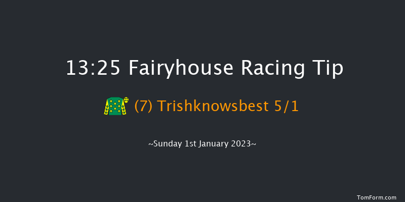 Fairyhouse 13:25 Handicap Hurdle 16f Wed 21st Dec 2022