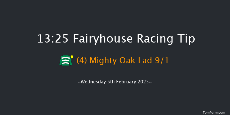 Fairyhouse  13:25 Handicap Chase 21f Sat 25th Jan 2025