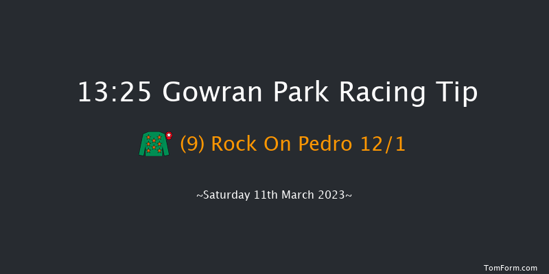 Gowran Park 13:25 Maiden Hurdle 16f Sat 18th Feb 2023