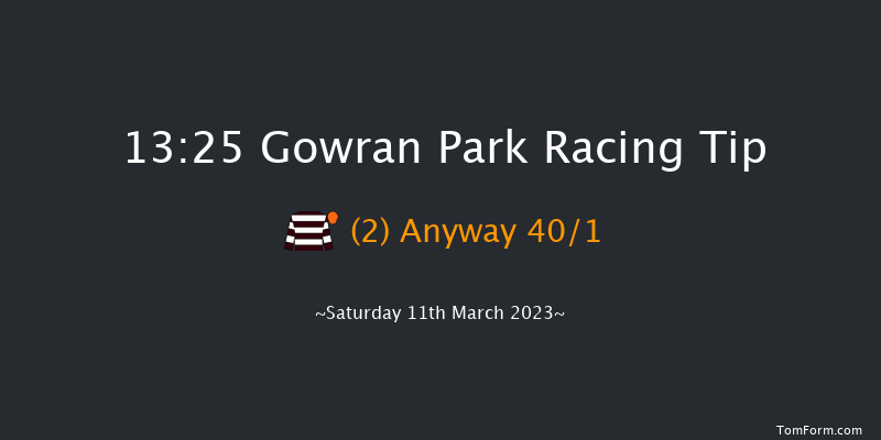 Gowran Park 13:25 Maiden Hurdle 16f Sat 18th Feb 2023