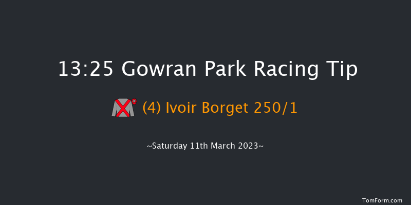 Gowran Park 13:25 Maiden Hurdle 16f Sat 18th Feb 2023