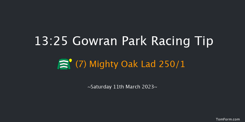 Gowran Park 13:25 Maiden Hurdle 16f Sat 18th Feb 2023