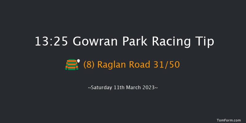 Gowran Park 13:25 Maiden Hurdle 16f Sat 18th Feb 2023