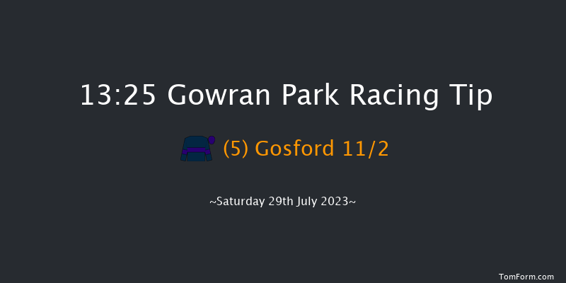 Gowran Park 13:25 Handicap 7f Sun 18th Jun 2023