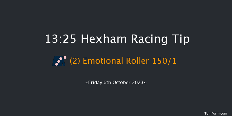Hexham 13:25 Maiden Hurdle (Class 4) 16f Wed 6th Sep 2023