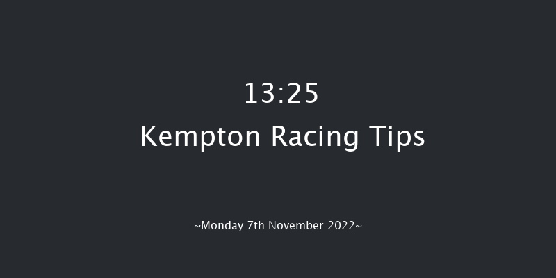 Kempton 13:25 Handicap Chase (Class 4) 20f Wed 2nd Nov 2022