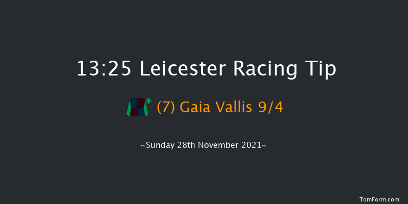 Leicester 13:25 Selling Hurdle (Class 4) 16f Mon 15th Nov 2021