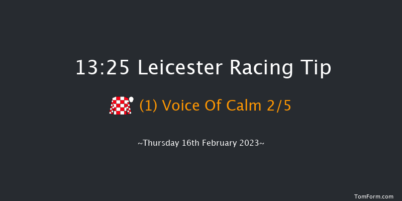 Leicester 13:25 Handicap Chase (Class 3) 20f Wed 1st Feb 2023