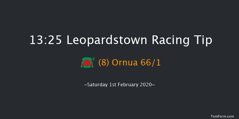 Leopardstown 13:25 Conditions Chase 17f Sun 29th Dec 2019