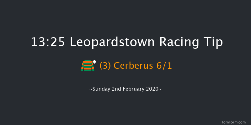 Leopardstown 13:25 Conditions Hurdle 16f Sat 1st Feb 2020