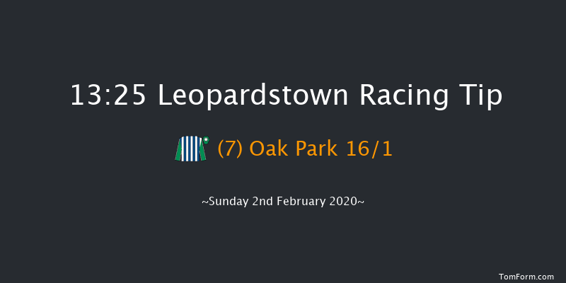 Leopardstown 13:25 Conditions Hurdle 16f Sat 1st Feb 2020
