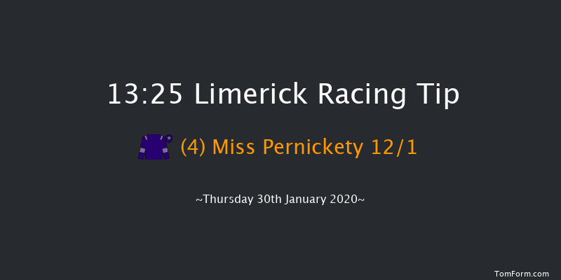 Limerick 13:25 Maiden Hurdle 21f Sun 29th Dec 2019