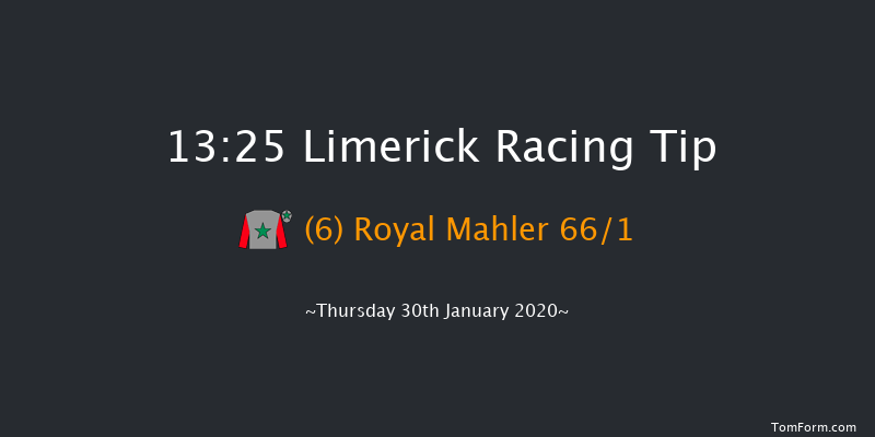 Limerick 13:25 Maiden Hurdle 21f Sun 29th Dec 2019