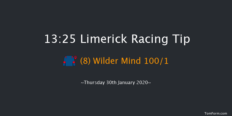 Limerick 13:25 Maiden Hurdle 21f Sun 29th Dec 2019