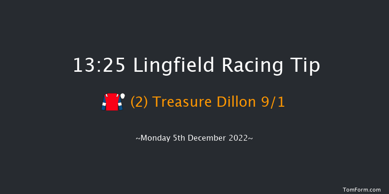 Lingfield 13:25 Handicap Chase (Class 5) 16f Wed 30th Nov 2022