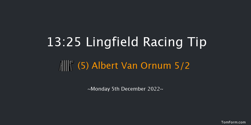 Lingfield 13:25 Handicap Chase (Class 5) 16f Wed 30th Nov 2022