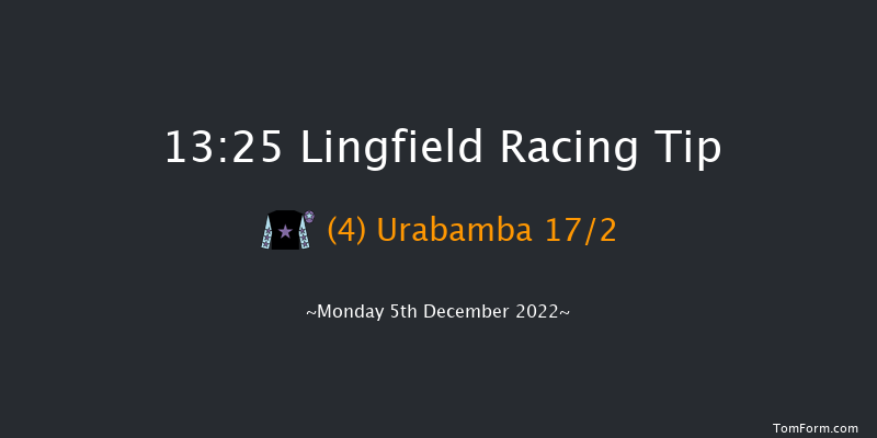Lingfield 13:25 Handicap Chase (Class 5) 16f Wed 30th Nov 2022