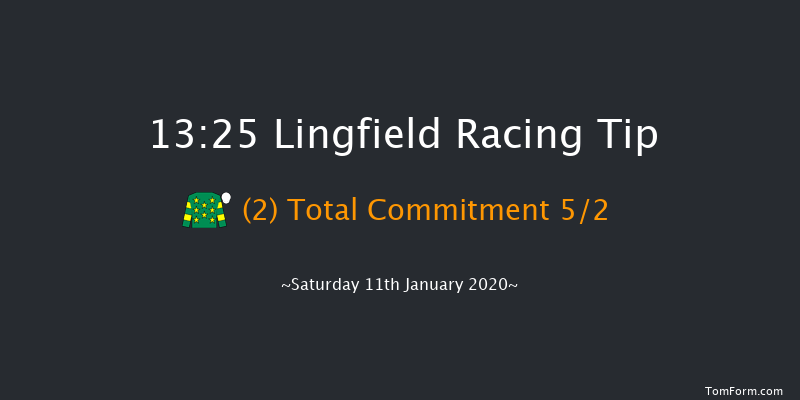 Lingfield 13:25 Handicap (Class 3) 6f Fri 10th Jan 2020