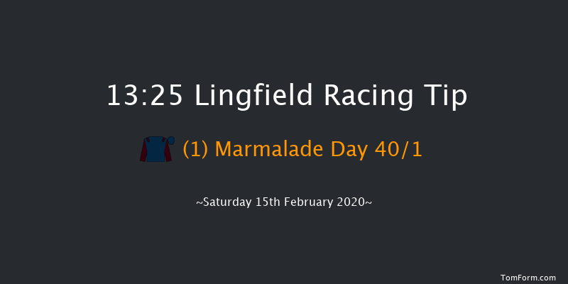 Bombardier 'March To Your Own Drum' Handicap Lingfield 13:25 Handicap (Class 6) 8f Fri 14th Feb 2020