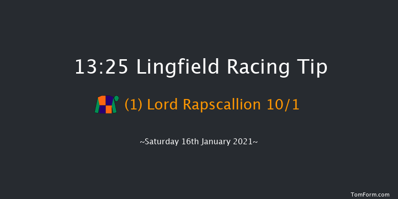Bombardier British-Hopped Amber Beer Handicap Lingfield 13:25 Handicap (Class 2) 8f Tue 12th Jan 2021