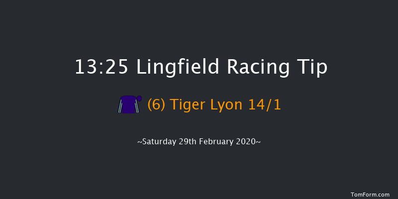 Heed Your Hunch At Betway Handicap Lingfield 13:25 Handicap (Class 6) 5f Fri 28th Feb 2020