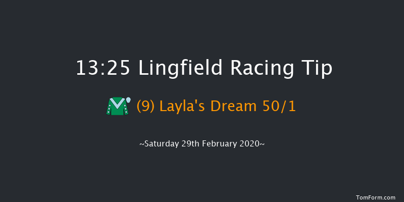 Heed Your Hunch At Betway Handicap Lingfield 13:25 Handicap (Class 6) 5f Fri 28th Feb 2020