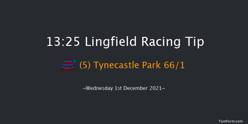 Lingfield 13:25 Handicap (Class 4) 16f Tue 30th Nov 2021