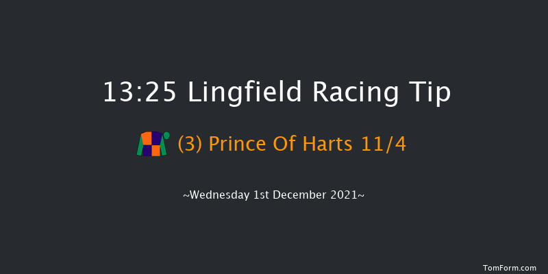 Lingfield 13:25 Handicap (Class 4) 16f Tue 30th Nov 2021