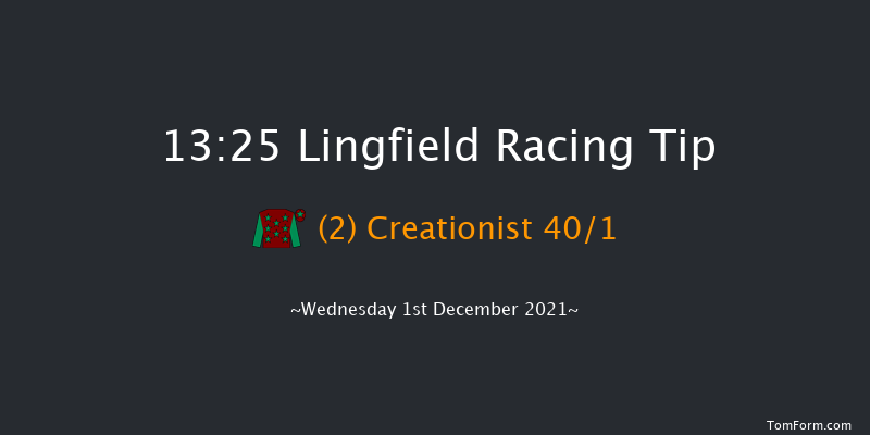 Lingfield 13:25 Handicap (Class 4) 16f Tue 30th Nov 2021