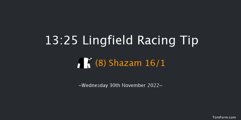 Lingfield 13:25 Stakes (Class 5) 8f Tue 29th Nov 2022