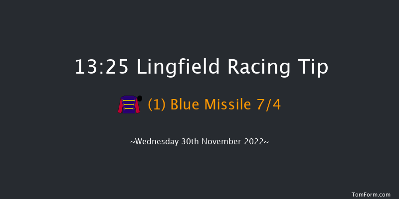 Lingfield 13:25 Stakes (Class 5) 8f Tue 29th Nov 2022