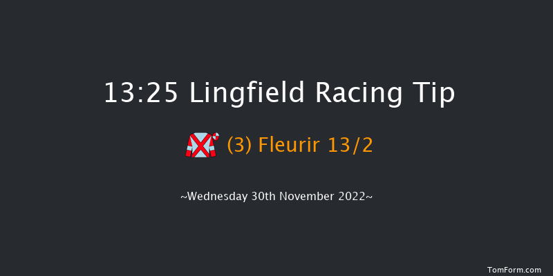 Lingfield 13:25 Stakes (Class 5) 8f Tue 29th Nov 2022