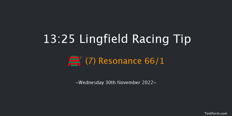 Lingfield 13:25 Stakes (Class 5) 8f Tue 29th Nov 2022