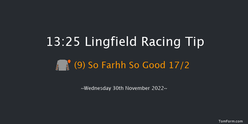 Lingfield 13:25 Stakes (Class 5) 8f Tue 29th Nov 2022
