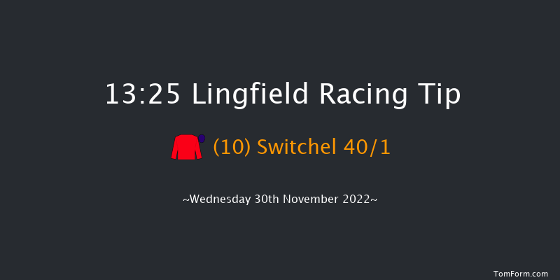 Lingfield 13:25 Stakes (Class 5) 8f Tue 29th Nov 2022