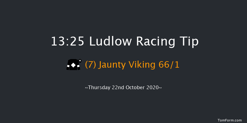 Quality Over Quantity Tipster Platform tipstersempire.co.uk Novices' Hurdle (GBB Race) Ludlow 13:25 Maiden Hurdle (Class 4) 16f Wed 7th Oct 2020