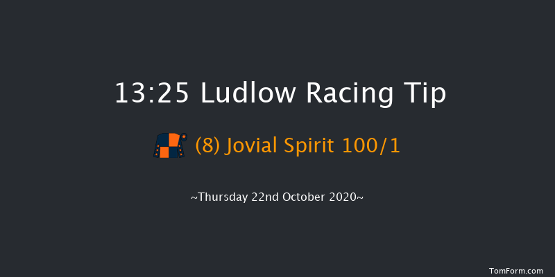 Quality Over Quantity Tipster Platform tipstersempire.co.uk Novices' Hurdle (GBB Race) Ludlow 13:25 Maiden Hurdle (Class 4) 16f Wed 7th Oct 2020