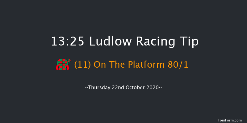 Quality Over Quantity Tipster Platform tipstersempire.co.uk Novices' Hurdle (GBB Race) Ludlow 13:25 Maiden Hurdle (Class 4) 16f Wed 7th Oct 2020