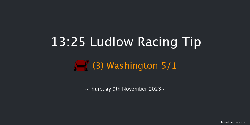 Ludlow 13:25 Handicap Chase (Class 3) 20f Thu 26th Oct 2023