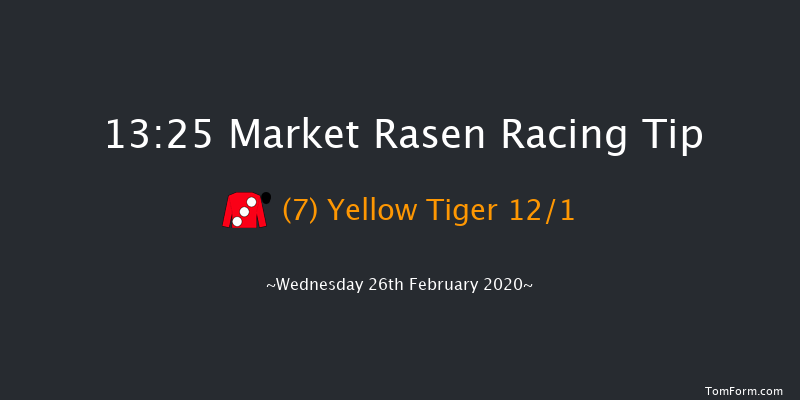 MansionBet Proud To Support British Racing Juvenile Hurdle Market Rasen 13:25 Conditions Hurdle (Class 4) 17f Tue 4th Feb 2020