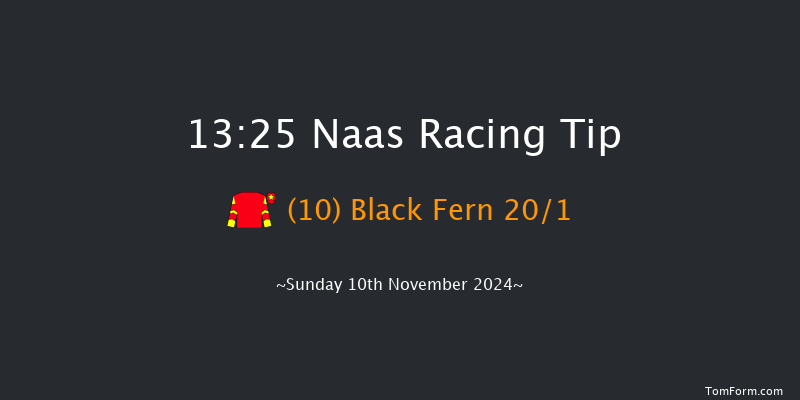 Naas  13:25 Maiden Hurdle 19f Sun 13th Oct 2024