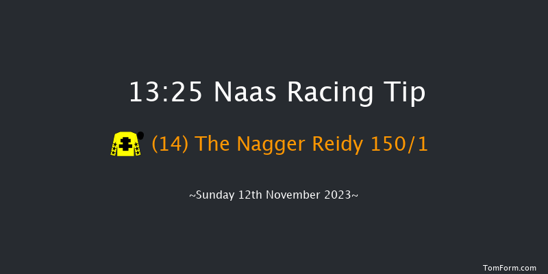 Naas 13:25 Maiden Hurdle 19f Sun 15th Oct 2023