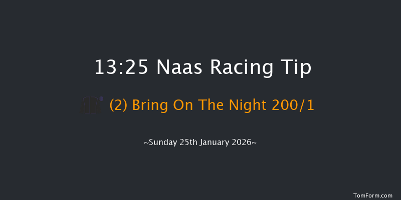 Naas 13-25 (Class 1) 15f Fri 9th Jan 2026