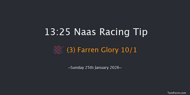 Naas 13-25 (Class 1) 15f Fri 9th Jan 2026